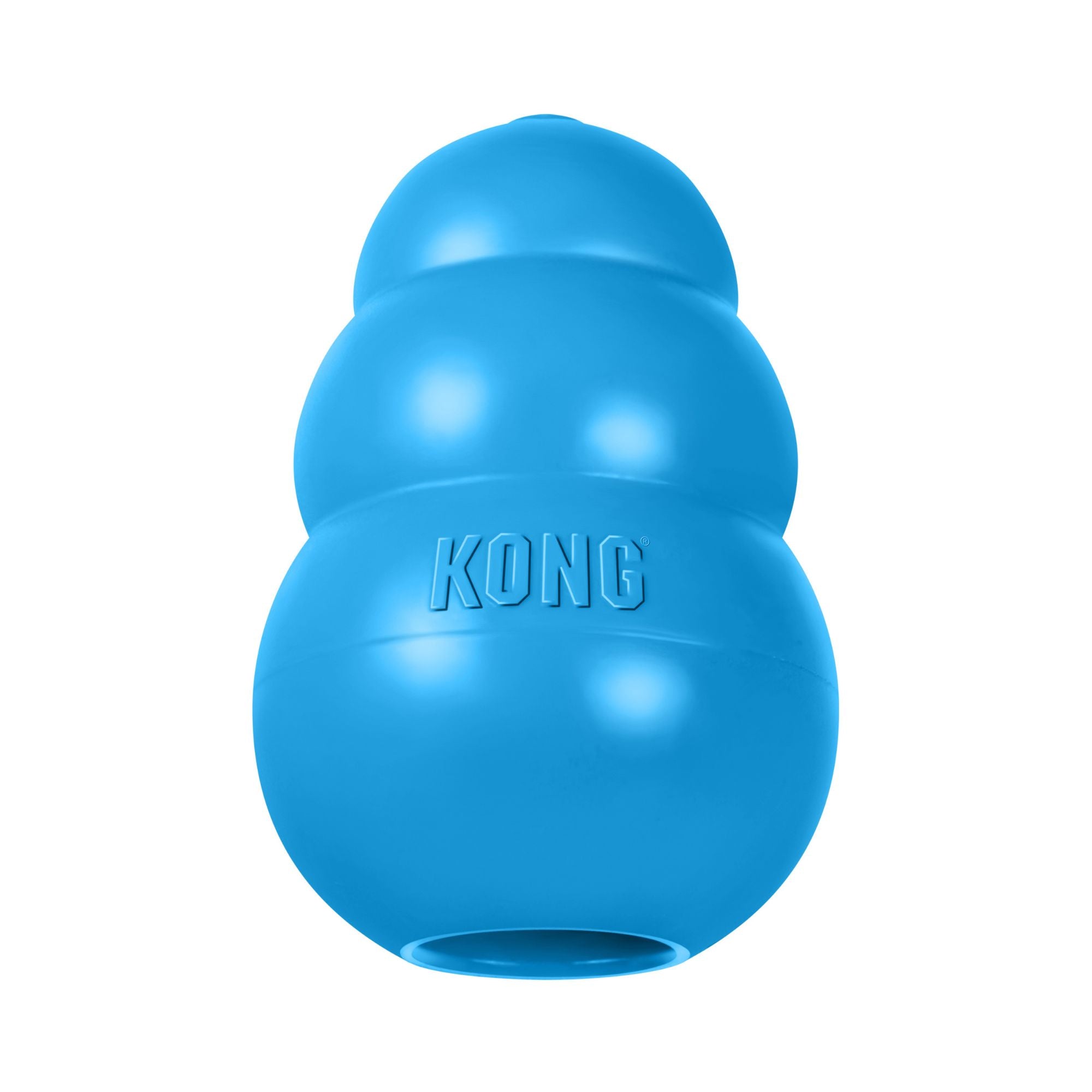 Blue KONG Puppy natural rubber dog toy