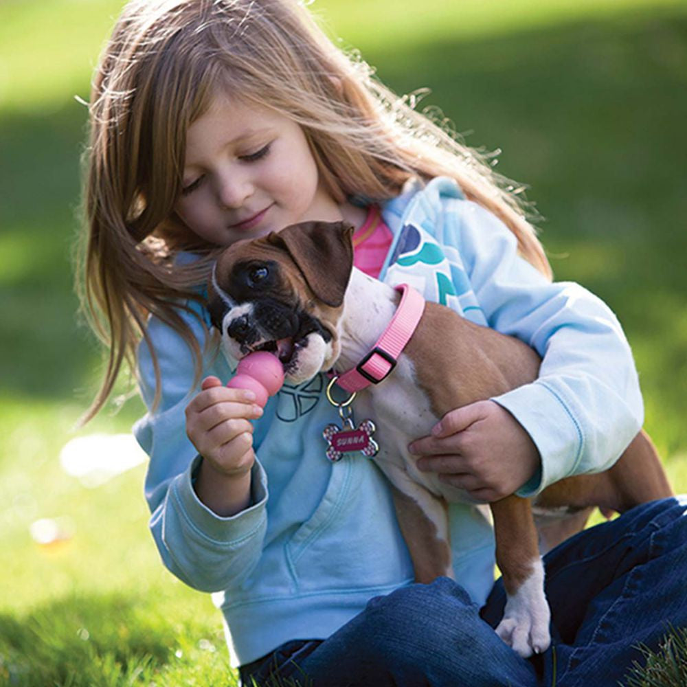 30% Off KONG Dog & Cat Toys 