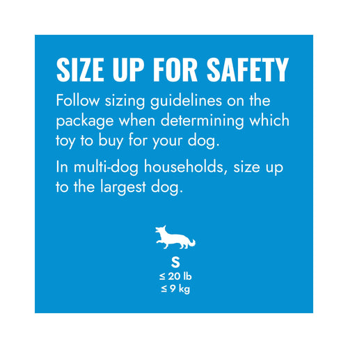 KONG Puppy Flyer Size Up for Safety graphic recommending owners follow the size guide on the product packaging.