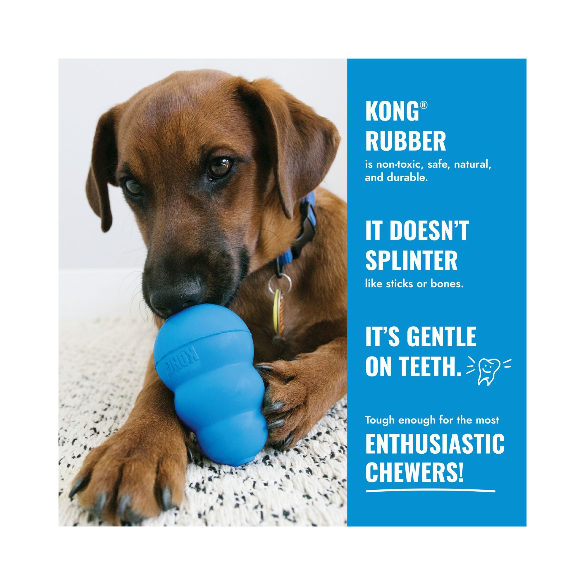 Illustration explaining the benefits of KONG Puppy Rubber for teething puppies.