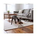 A playful dog playing with a plush KONG Scrunch Knots Squirrel toy on a cream textured area rug in a modern living room with a grey sofa and wooden floor.