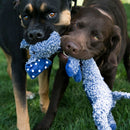 Happy dogs playing with KONG Shakers Luvs Elephant plush dog toy.