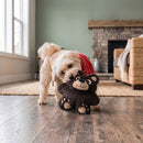 A dog indoors carrying a brown KONG Snuzzles Bear Dog Toy.
