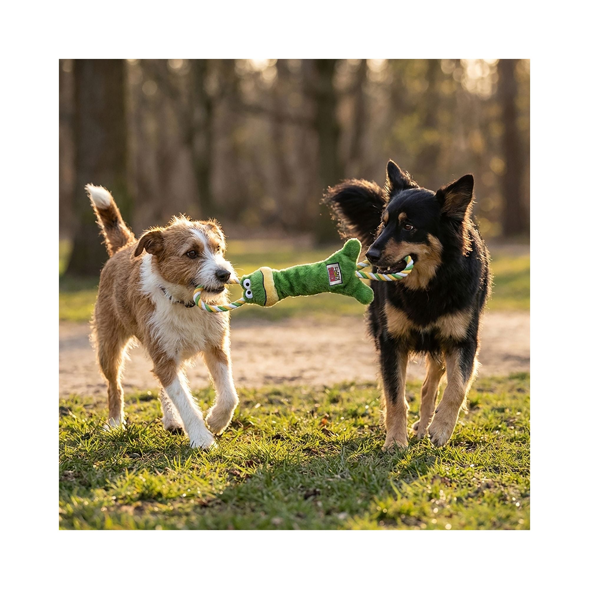 Two dogs playing tug outdoors with the KONG Tugger Knots Frog Dog Toy, each holding a rope handle.