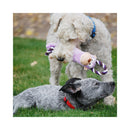 A fluffy white dog stands on grass holding a purple and white KONG Tugger Knots Monkey Dog Toy in its mouth, while a grey dog lies on the grass nearby wearing a red collar.