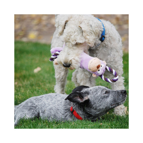 A fluffy white dog stands on grass holding a purple and white KONG Tugger Knots Monkey Dog Toy in its mouth, while a grey dog lies on the grass nearby wearing a red collar.