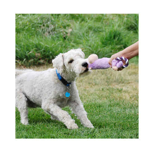Dog and owner playing tug outdoors with the KONG Tugger Knots Monkey Dog Toy, each holding a rope handle.