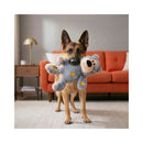 A German Shepherd stands indoors holding a plush grey KONG Wild Knots Bears Dog Toy with yellow patches in its mouth, with an orange sofa and lamp in the background.