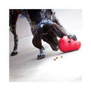 A black and white spotted dog wearing a blue collar plays with a red KONG Wobbler Dog Treat Dispenser, with a few kibble pieces on the floor.