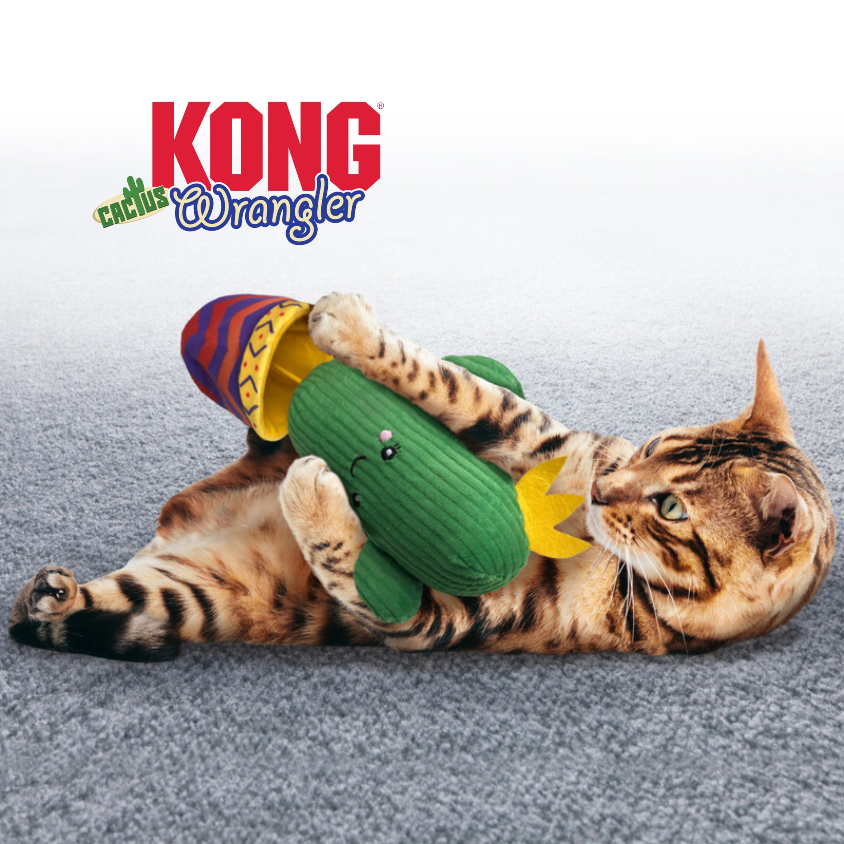 KONG Kitty-friendly interactive toy