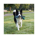 Black and white Border Collie dog running across a green grass park while carrying a patterned blue and teal KONG Wubba dog toy in its mouth.