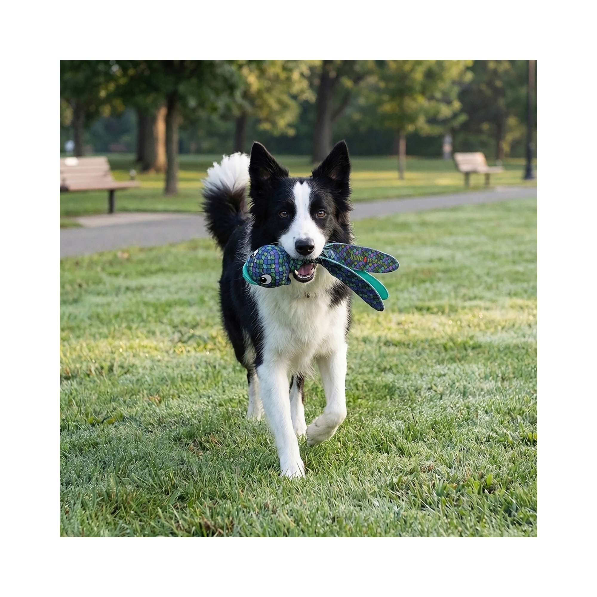 KONG Wubba Finz Blue Dog Toy