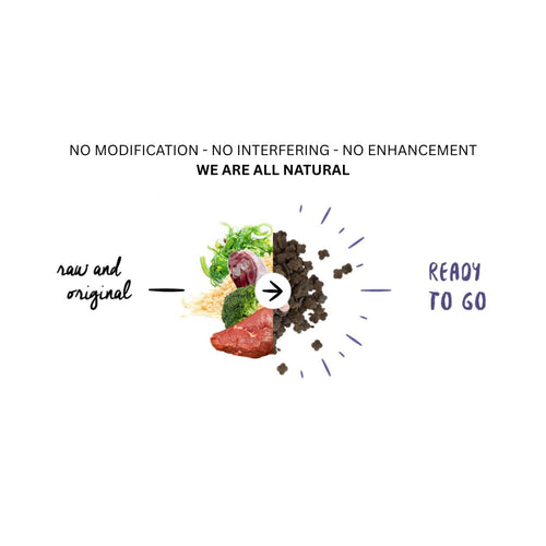 Fresh kangaroo, turkey, and natural ingredients combined into Meals for Meows hypoallergenic cat food – No Modification, No Interfering, All Natural