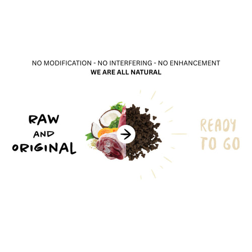 Raw turkey, chicken, pumpkin, and coconut oil combined into natural kitten dry food – all natural, no modification, no interfering, no enhancement