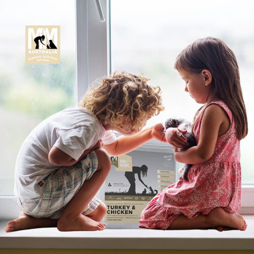 Two children playing with a cat on a windowsill, with a bag of Turkey & Chicken Kitten Food in the background