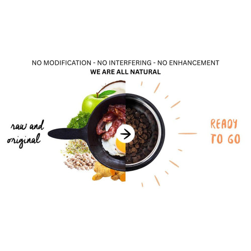 Meals for Mutts Bacon and Eggs natural dog food graphic: "No Modification • No Interfering • No Enhancement" showing raw ingredients and kibble