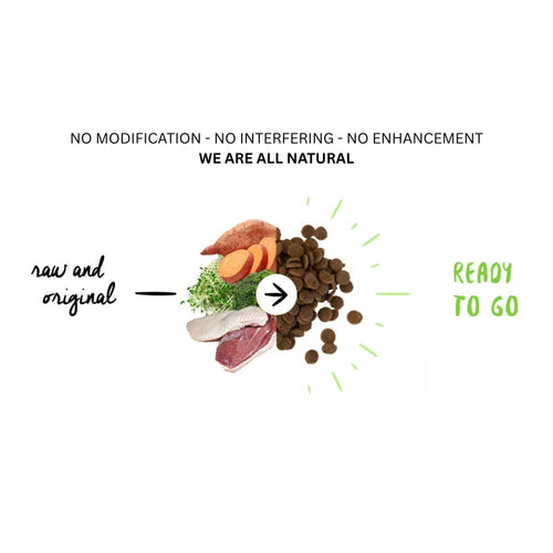 Fresh duck, turkey, and natural ingredients combined into Meals for Mutts hypoallergenic dog food – No Modification, No Interfering, All Natural