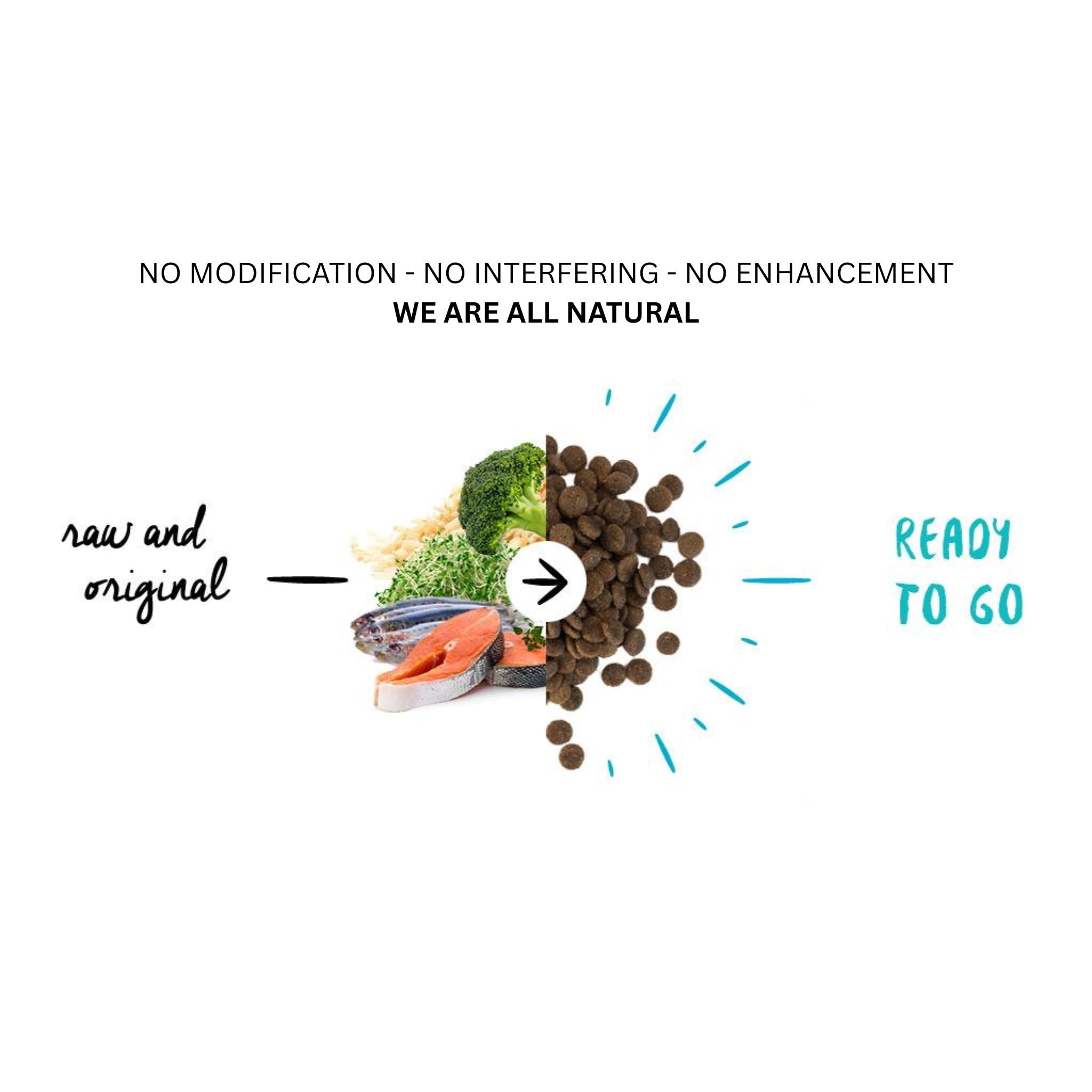 Meals for Mutts Salmon & Sardine – Gluten Free Dry Dog Food