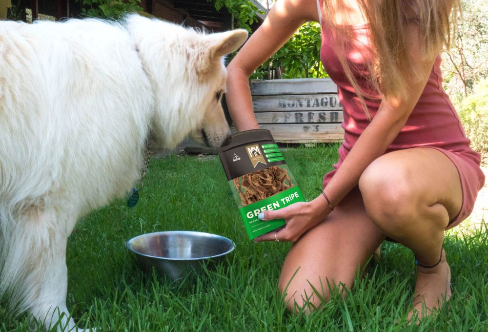 Pet owner giving a Green Tripe Dog Treat to their dog