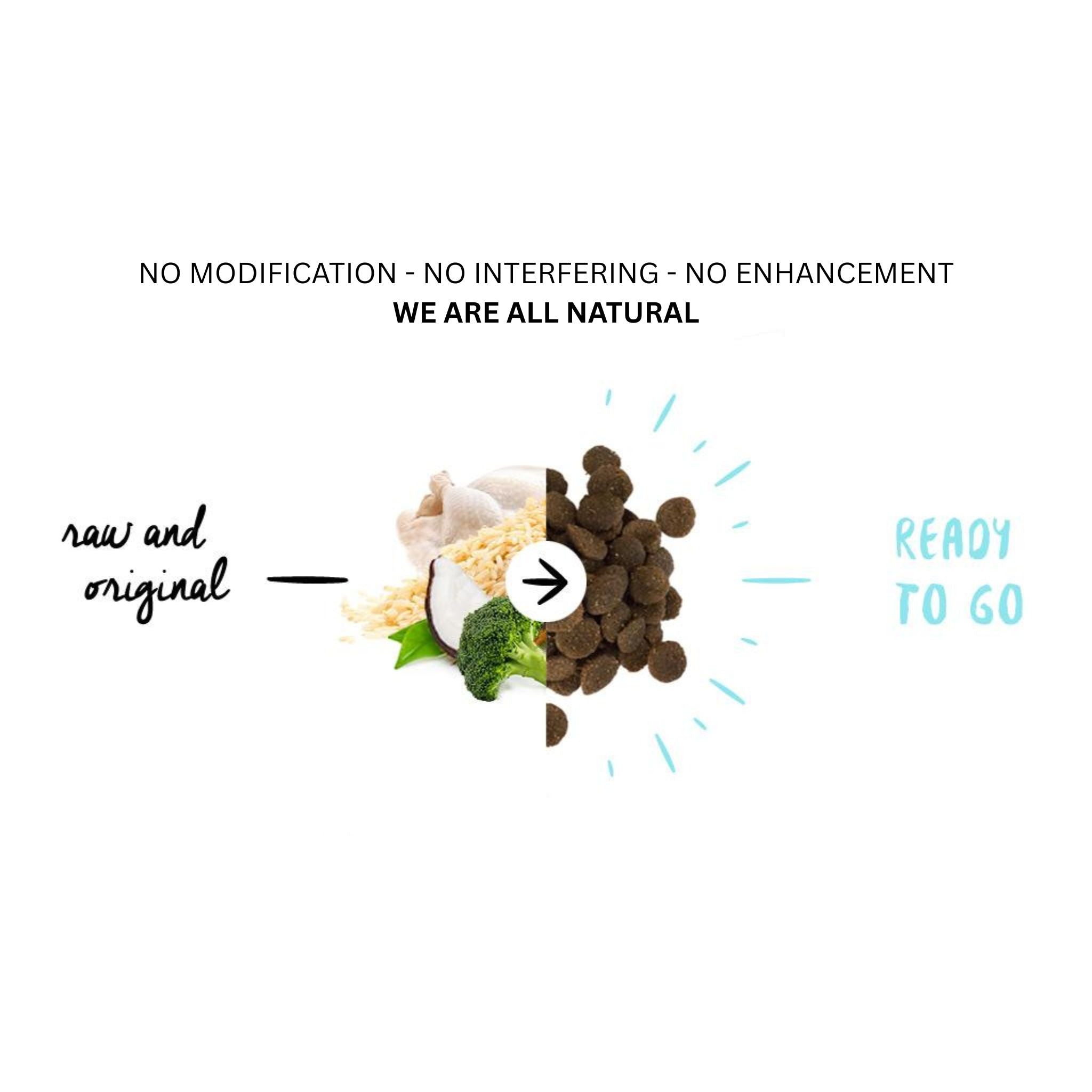 Meals for Mutts High Performance Turkey – Adult Dry Dog Food