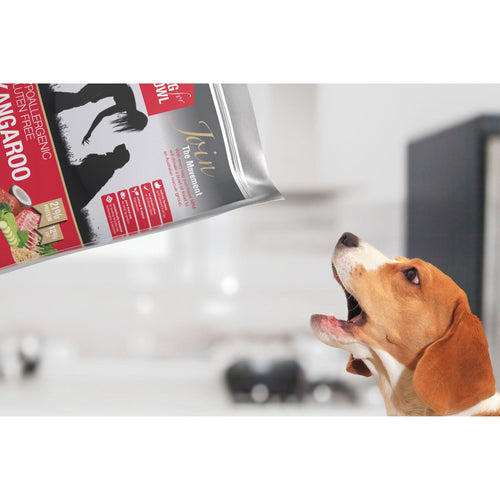 Meals for Mutts Kangaroo and Lamb adult dry dog food bag with a canine