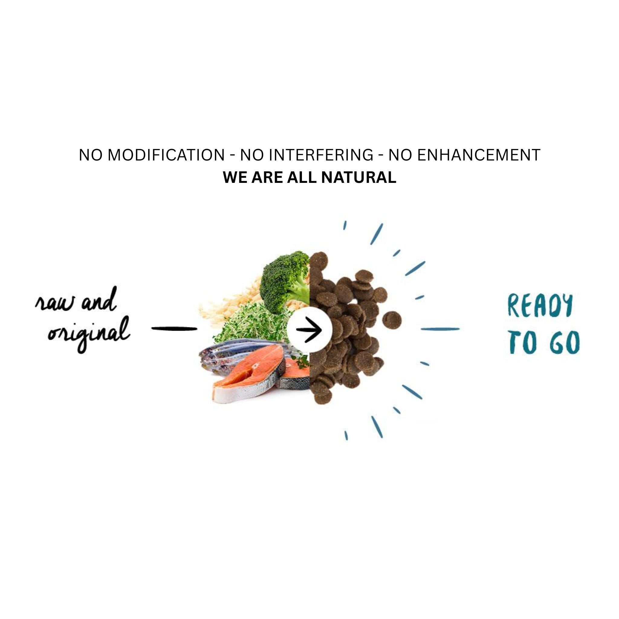 Meals for Mutts Salmon & Sardine (Large Kibble) – Adult Dog Food