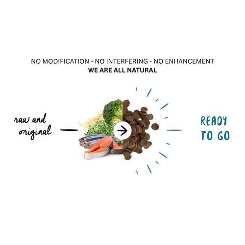 Meals for Mutts Salmon & Sardine dog food graphic with text no modification, no interfering, no enhancement, featuring half raw ingredients and half kibble