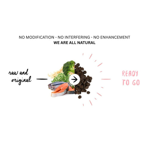 Fresh salmon, sardine, and natural ingredients combined into Meals for Mutts hypoallergenic dog food – No Modification, No Interfering, All Natural