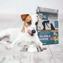 Dog with a metal bowl and a bag of Meal for Mutts Salmon & Sardine Larger Kibble in the background