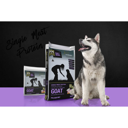 Meals for Mutts Single Meat Protein Goat dry dog food bags beside a relaxed dog