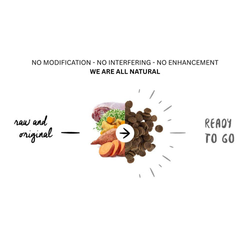 Fresh turkey and chicken, combined with natural ingredients, create Meals for Mutts hypoallergenic puppy food – no modification, No Interfering, All Natural.