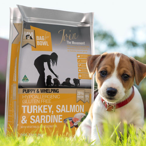 Turkey, Salmon & Sardine dry dog food package for puppies and whelping with a puppy in front