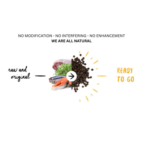 Fresh Turkey, Salmon, Sardine, and natural ingredients combined into Meals for Mutts hypoallergenic dog food – No Modification, No Interfering, All-Natural.