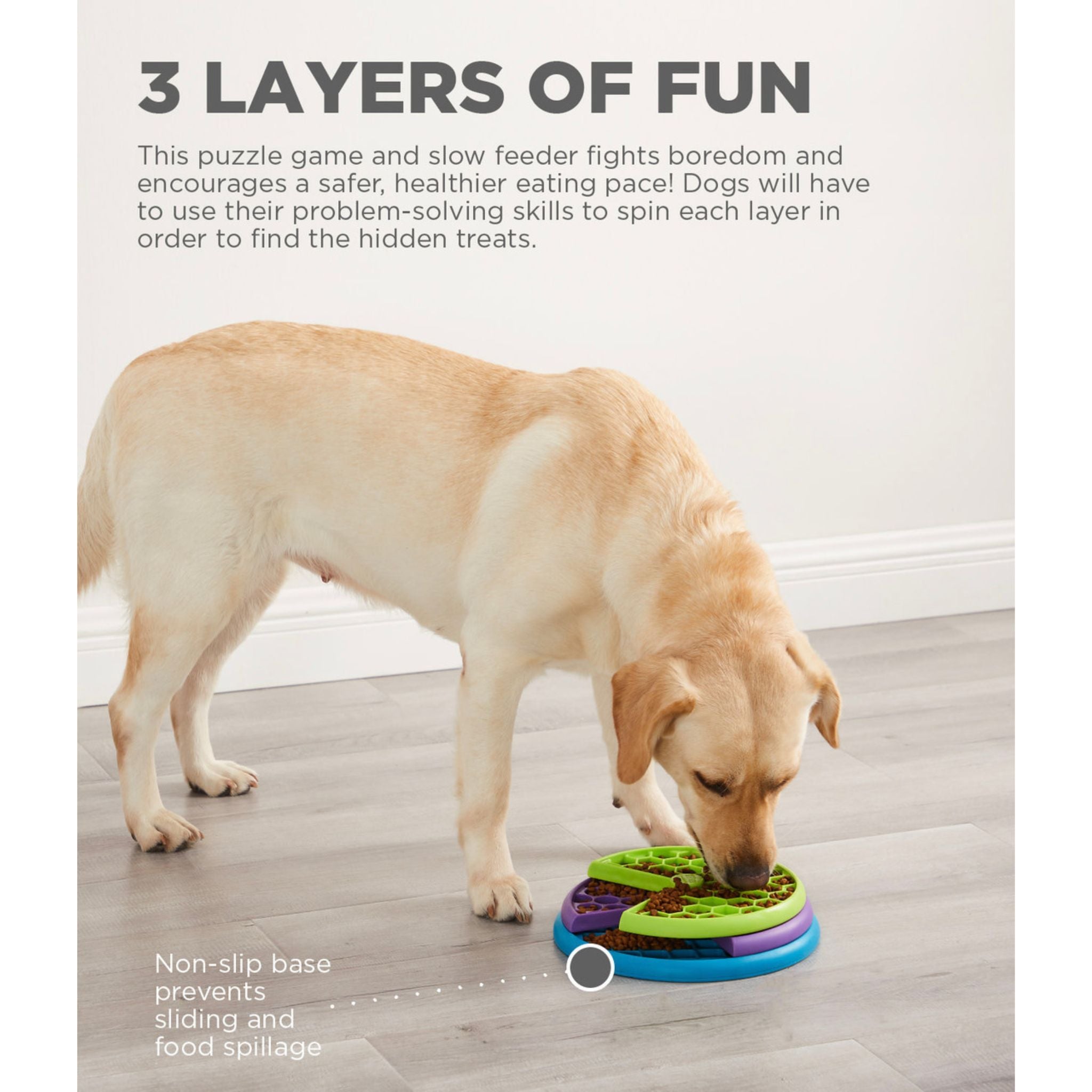 Labrador eating kibble from the Nina Ottosson Lickin' Layers puzzle feeder on a non-slip base