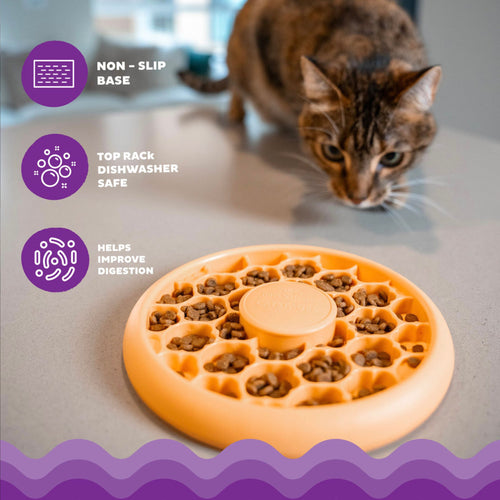 Outward Hound Catstages Cat Slow Feeder Bowl orange highlighting non-slip base, dishwasher safe and digestion benefits.