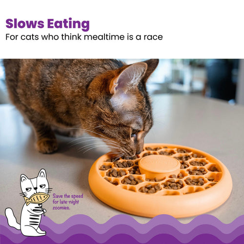 Cat feeding from Catstages Slow Feeder Bowl with text save the speed for late-night zoomies.