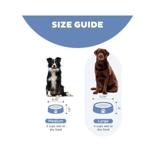Size guide for Outward Hound Slow Feed dog bowls with two dogs and measurements on a white background