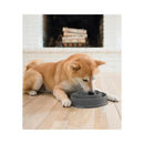 Dog eating from a grey Outward Hound Fun Feeder Slo Feed Dog Bowl.