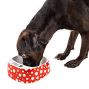 PetKit Fresh Smart Antibacterial Bowl in Polka Dot, dog eating with digital scale display visible