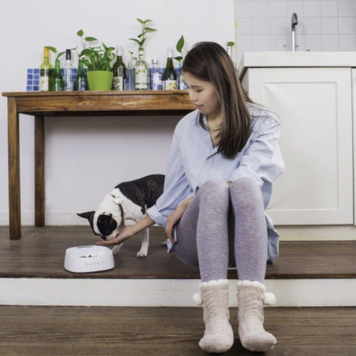 Owner feeding a small dog using the PetKit Fresh Smart Antibacterial Bowl White