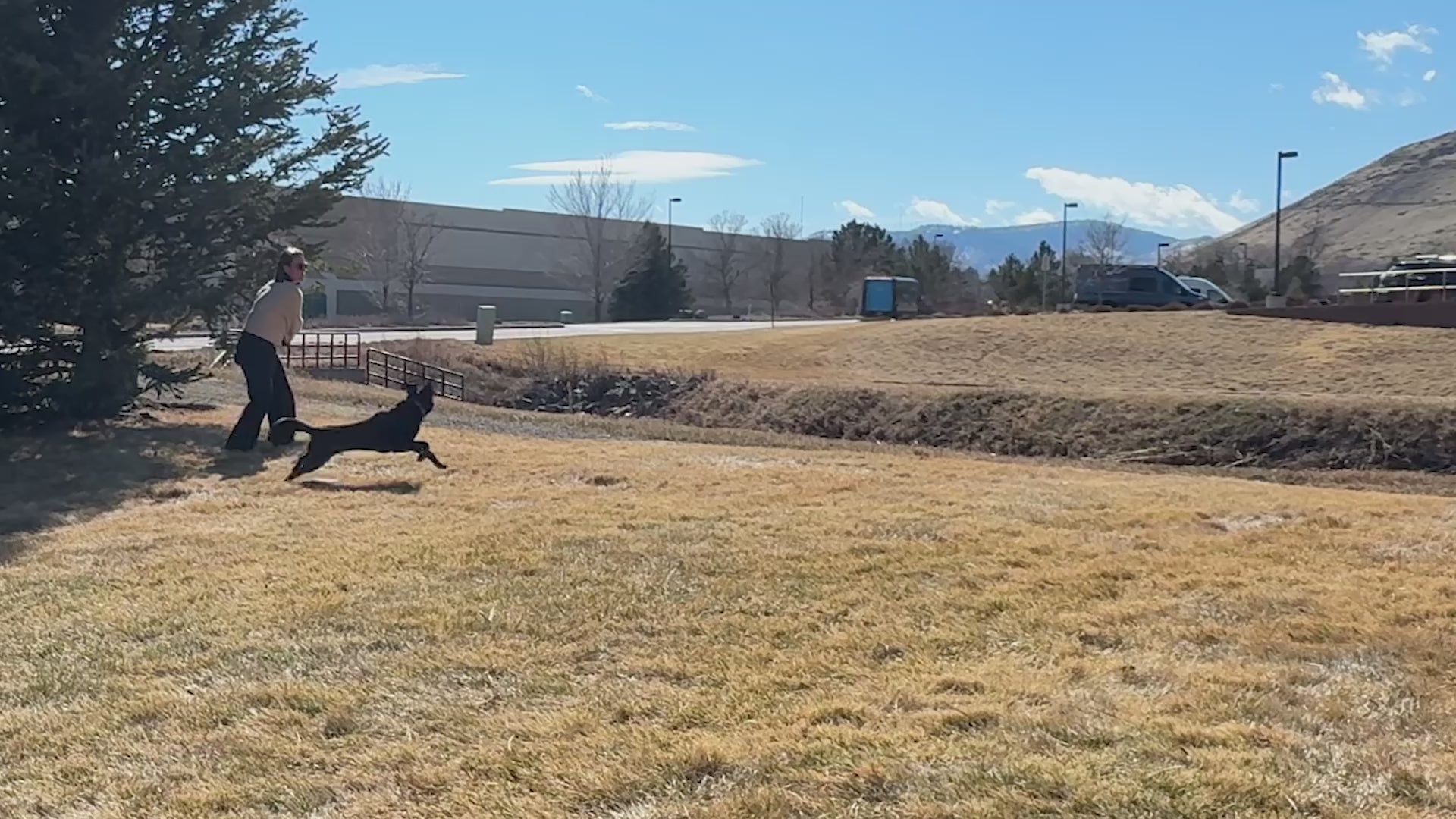 Video showing KONG Flyer, KONG Extreme Flyer, KONG Classic Flyer and KONG Puppy Flyer used by dogs and owners during interactive outdoor fetch games