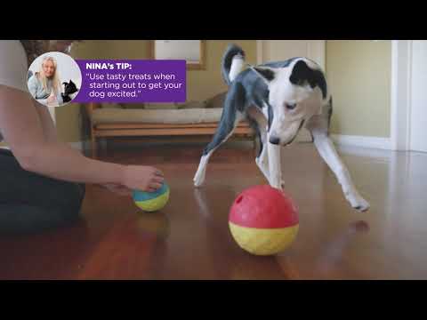 Nina Ottosson Treat Tumble dog puzzle ball, Large, red and yellow