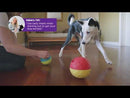 Nina Ottosson Treat Tumble dog puzzle ball, Large, red and yellow