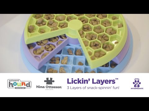 Nina Ottosson Lickin’ Layers dog puzzle toy, in use by a dog.