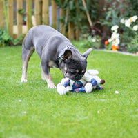 A medium-sized dog gently picking up the Rosewood Chubleez Maisie Mouse toy with its mouth. The plush toy, shaped like a mouse, features soft fabric, blue floral-patterned patches on its ears and belly, and a long tail.