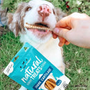 A happy dog chewing on a piece of The Pet Project natural shark treat, promoting dental health.