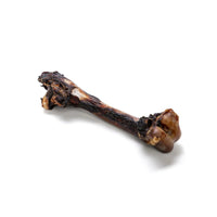 Close-up of the air-dried kangaroo femur bone treat for dogs.