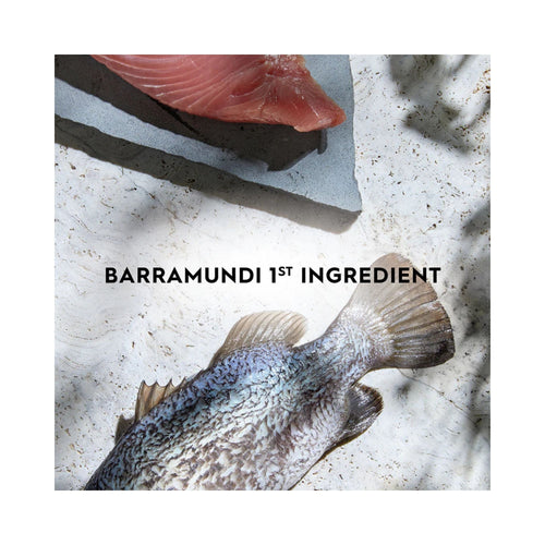 Raw barramundi fish on a cutting board with text 'BARRAMUNDI 1ST INGREDIENT'.