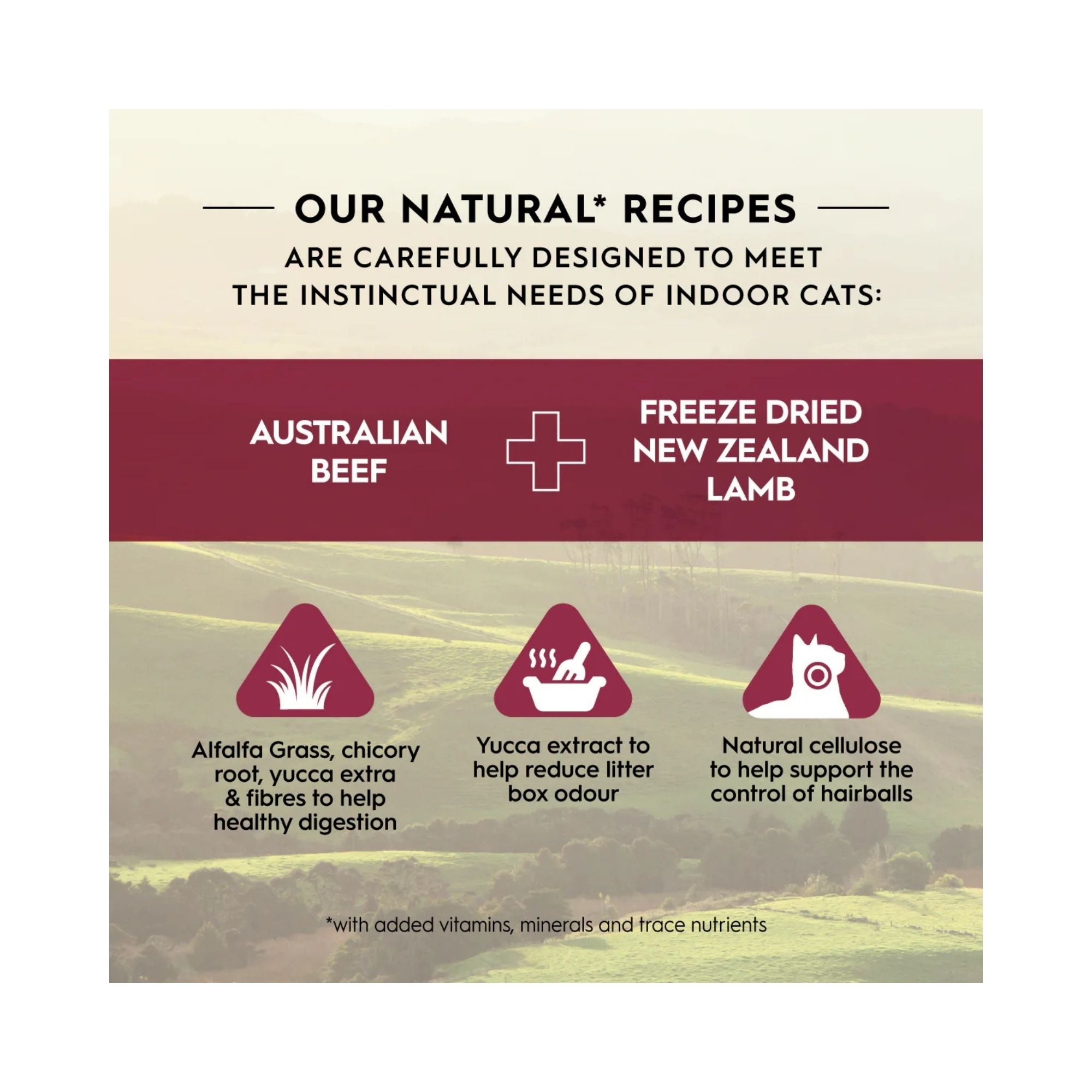 Natural Recipe graphic promoting Trilogy Australian Beef + Freeze Dried New Zealand Lamb Adult Cat Food