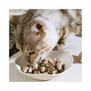 A tabby cat with striped fur eats from a white ceramic bowl filled with Trilogy Australian kibble and New Zealand freeze-dried lamb